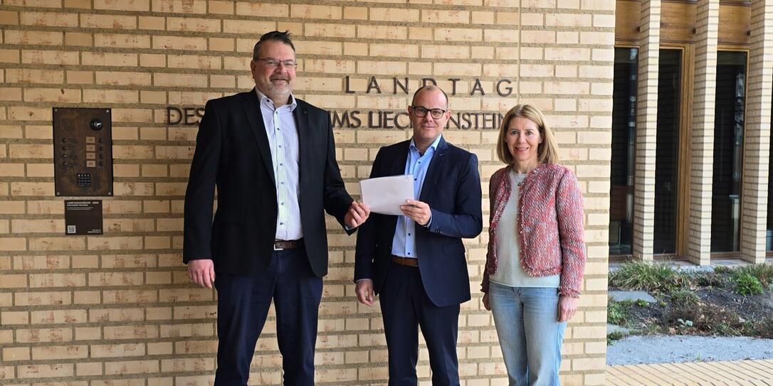 VU Motion Dagmar Bühler Nigsch Roger Schädler