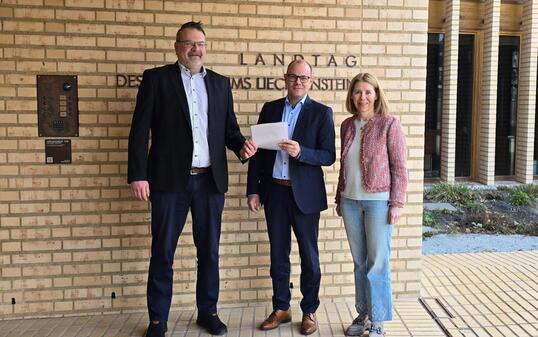 VU Motion Dagmar B&uuml;hler Nigsch Roger Sch&auml;dler