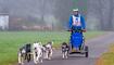 Wagenrennen vom Schlittenhundeverein Liechtenstein