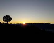 Sonntag Morgen Biken St.Anton AI Sonntag Morgen Biken St.Anton AI