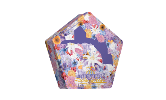 Hedaco Art Edition 2026