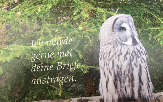 Postkarte