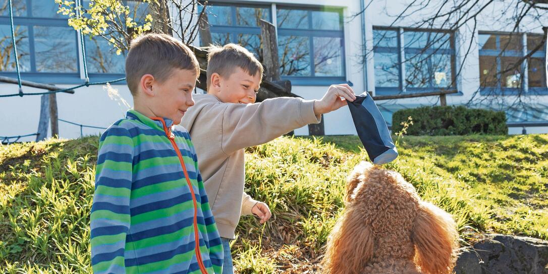 Schulhund Pina in Schellenberg