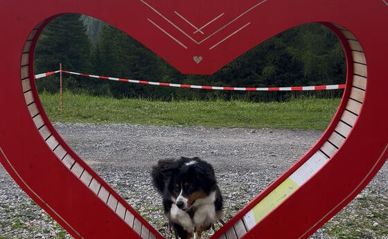 Alpherzweg Malbun - Leserwettbewerb 2025