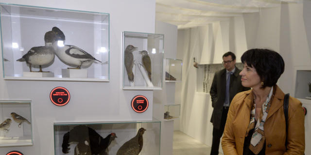 Doris Leuthard schaut sich im neuen Besucherzentrum Vögel an