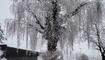 Winterwunderland Liechtenstein (03.12.23)