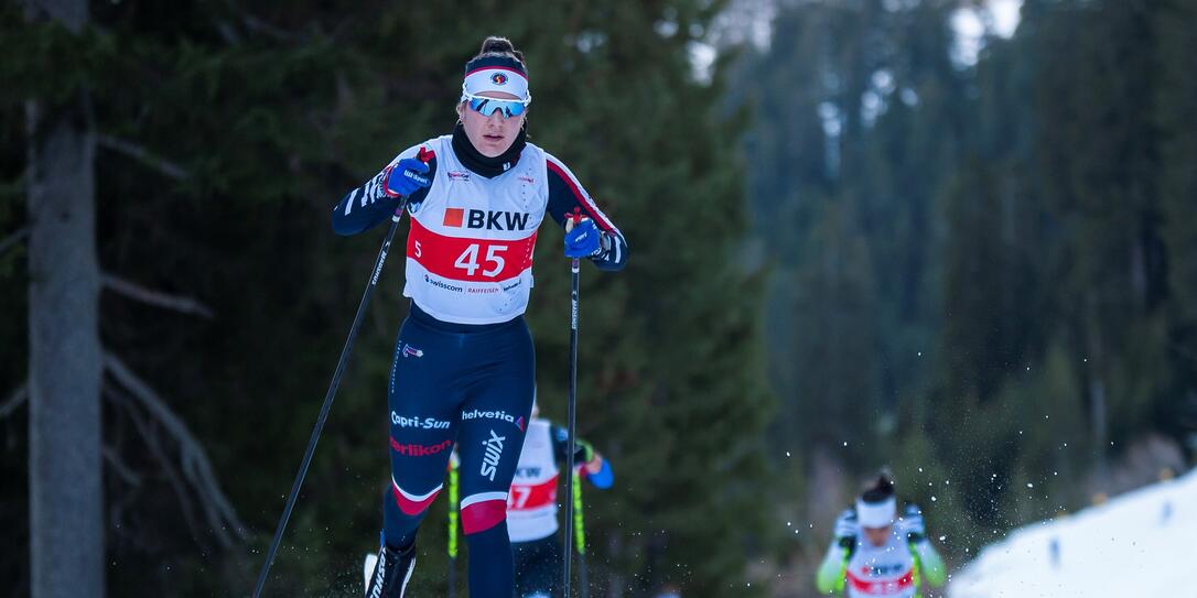 Fl Langlaufer Greifen An Vaterland Online Tienda de compras online del grupo colectivos de compras, grupos de compras , empresa asociación de consumidores. fl langlaufer greifen an vaterland online