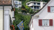 Alpabfahrt Mels