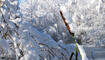 231203 Winter Impressionen in Balzers, Triesen, Triesenberg - Schnee, Burg Gutenberg, See, Triesenberg, UFL