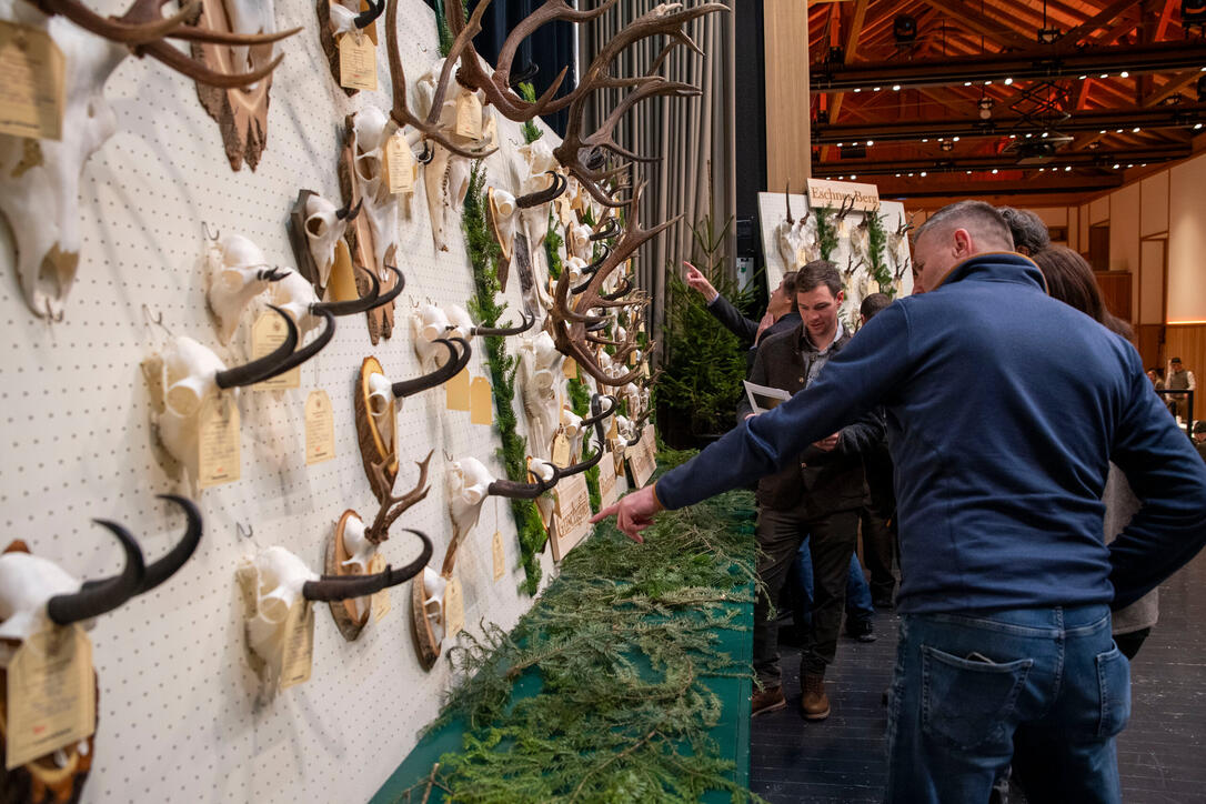 Hegeschau, in Schaan (28.02.2026)