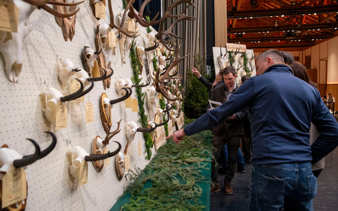 Hegeschau, in Schaan (28.02.2026)