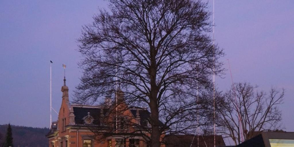 Für sein mit dem Prix Visarte ausgezeichneten Werk "Das Instrument des Horizontes - Die Partitur der Blicke" hat Yves Netzhammer aus handelsüblichen Bau-Visierstangen, wie er sagt, ein "imaginatives Volumen über der bestehenden Villa" angezeigt. Die Gemeinde verweigerte die Bewilligung (zVg) Für sein mit dem Prix Visarte ausgezeichneten Werk "Das Instrument des Horizontes - Die Partitur der Blicke" hat Yves Netzhammer aus handelsüblichen Bau-Visierstangen, wie er sagt, ein "imaginatives Volumen über der bestehenden Villa" angezeigt. Die Gemeinde verweigerte die Bewilligung (zVg)
