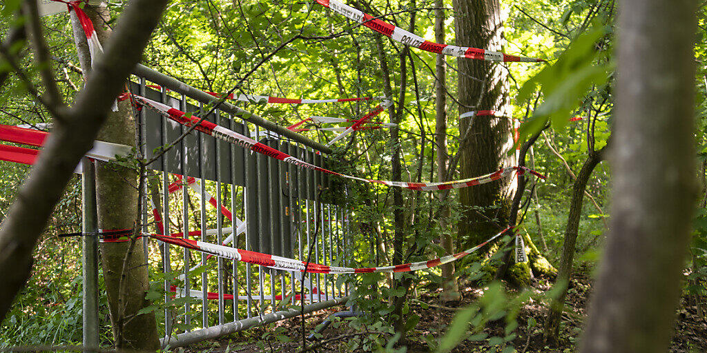 Geschlossene Grenzen liessen die illegalen Einreisen einbrechen: Versperrter Grenz&uuml;bergang nach Deutschland im Naherholungsgebiet Lange Erle in Basel. (Archivbild)
