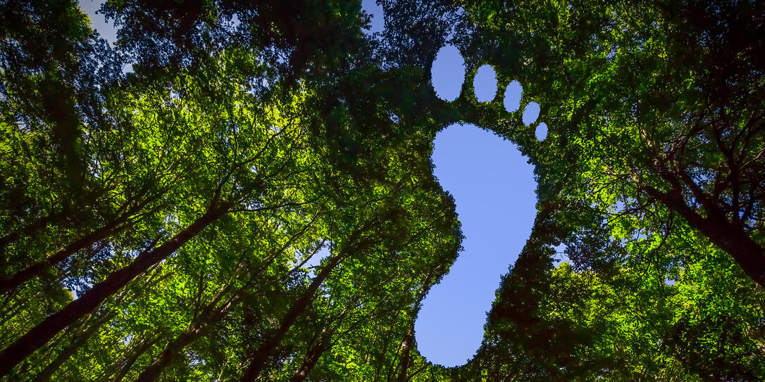 Carbon Footpint Carbon Footpint