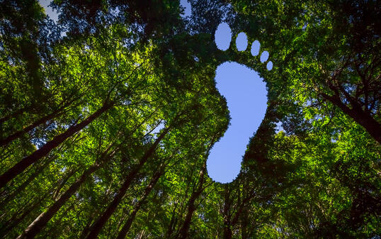 Carbon Footpint