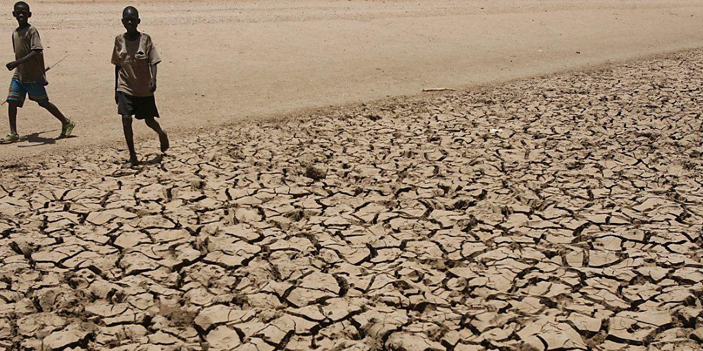 Ein rekordverdächtiger El Niño bedroht Afrika mit Dürre und Hungersnot. (Archivbild: Dürre in Nordwest-Kenia 2009)