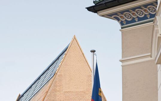 250110 Sonderbund Landtagswahlen 2025 -  «Richtig wählen»