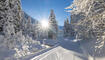 Winter in Steg