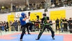 Chikudo Kickboxing Cup 2024 in Schaan