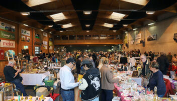 Floh-Antiquit&auml;ten & Sammlermarkt in Sargans