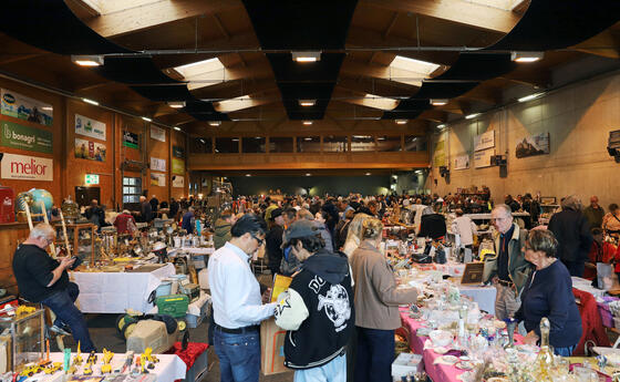 Floh-Antiquit&auml;ten & Sammlermarkt in Sargans