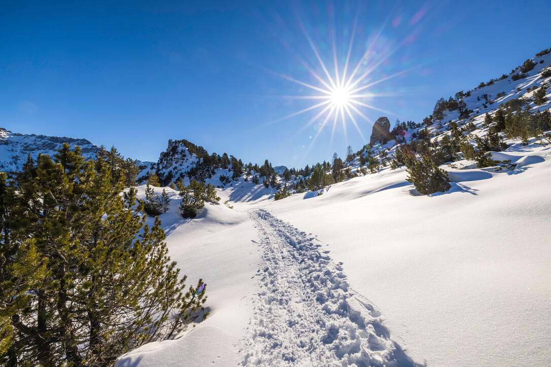 Winterwanderung zum Schönberg