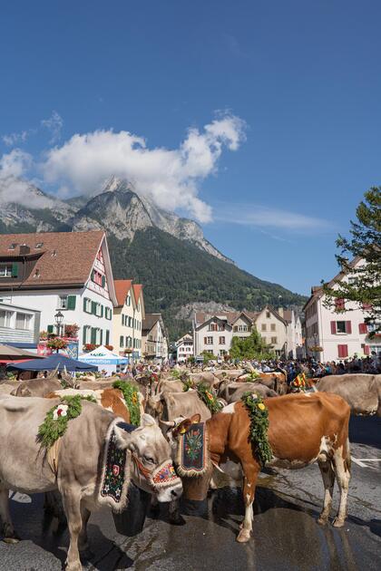 Alpabfahrt in Mels