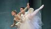 Operette «Die Fledermaus»
