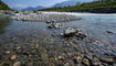 Trockener Alpenrhein