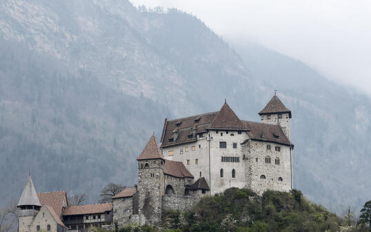 Am Hügel der Burg Gutenberg in Balzers FL haben Raubgräber ihr Unwesen getrieben. Sie benutzten unerlaubterweise Metallsuchgeräte, wie die Landespolizei vermutet. (Archivbild)