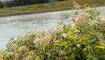 #näherdran-Fotowettbewerb Gamprin-Bendern