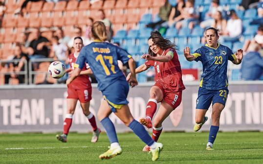 LIECHTESTEIN - BOSNIEN UND HERZEGOWINA