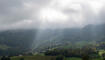 Melser Herbstviehschau