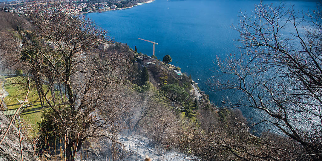 In diesem Waldstück oberhalb von Ascona wüteten die Flammen. Die Tessiner Gemeinde kam im Vergleich zum italienischen Valle Vigezzo relativ glimpflich davon. Dort dauerten die Löscharbeiten am Donnerstag noch an.