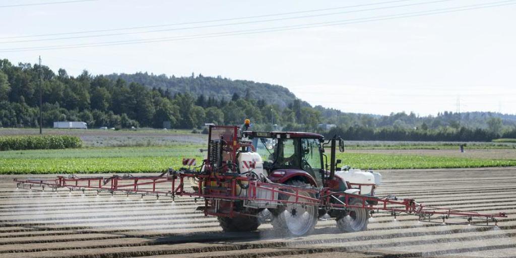 Das Bundesamt für Landwirtschaft verbietet Pflanzenschutzmittel, die das Fungizid Chlorothalonil enthalten. (Symbolbild) Das Bundesamt für Landwirtschaft verbietet Pflanzenschutzmittel, die das Fungizid Chlorothalonil enthalten. (Symbolbild)