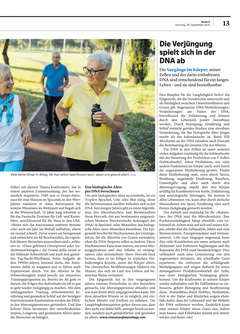 Seite 013