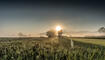 #näherdran-Fotowettbewerb Ruggell