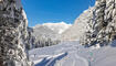 Winter in Steg