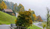 Herbst im Land