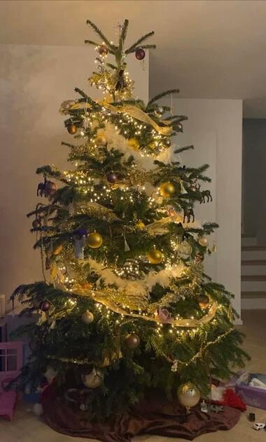 Fotowettbewerb: Zeig uns Deinen Christbaum 2022