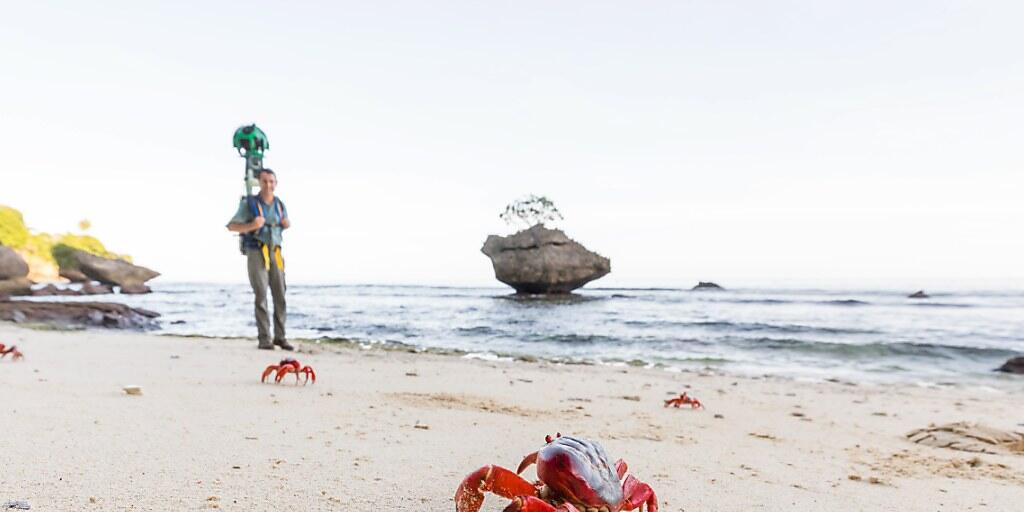 Rote Krabben am Strand der abgelegenen Weihnachtsinsel im Indischen Ozean. (Archivbild)
