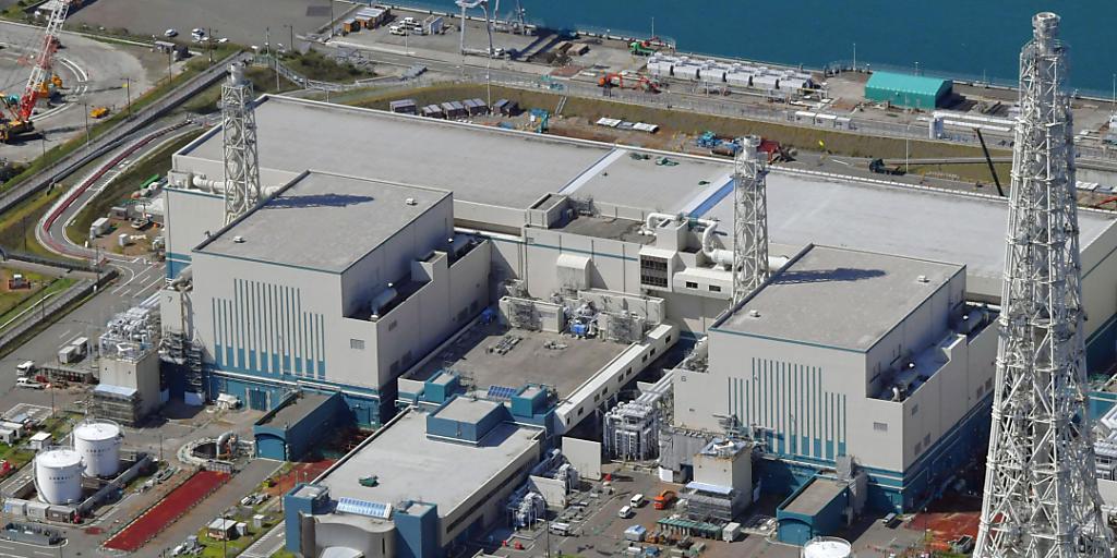 Zwei Reaktoren des grössten Atomkraftwerks der Welt wurden für sicher erklärt