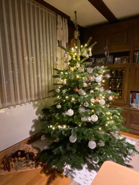 Fotowettbewerb: Zeig uns Deinen Christbaum 2023