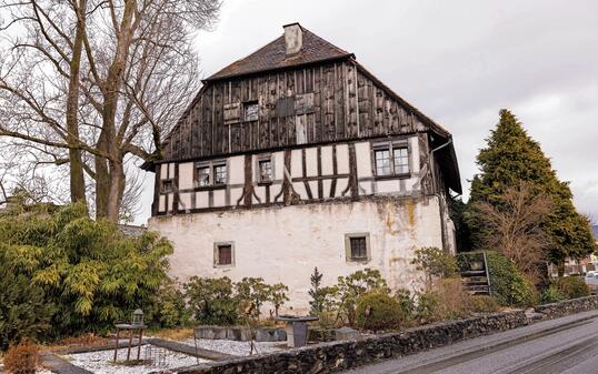 Burg-Haus in Oberriet