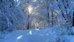 Winterwunderland Liechtenstein (03.12.23)