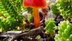 Herbst im Land (