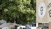 Staatsfeiertag Volksfest in Vaduz