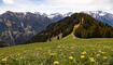 Wanderung zum Alpspitz