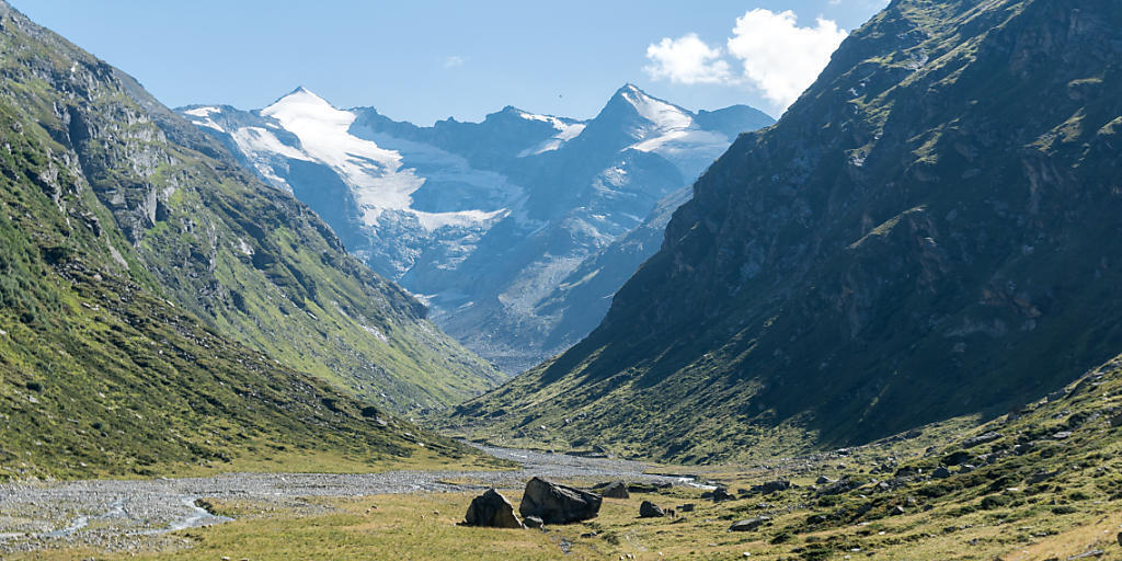 Schafe auf der Lampertsch-Alp im Laentatal oberhalb von Vals: Ob der zweite Nationalpark jemals geschaffen wird, ist nach dem Nein der Bündner Gemeinde Vals zum Parc Adula unsicher. (Archivbild)
