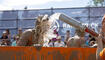 LieMudRun in Ruggell